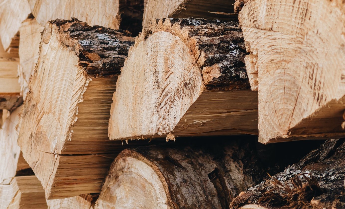 Nahaufnahme von gestapelten Holzscheiten