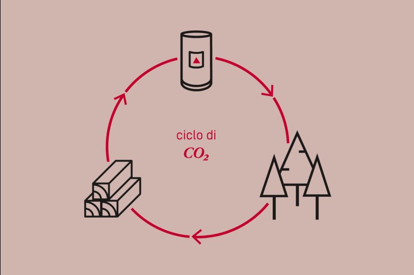 Ciclo ecologico CO2 neutro