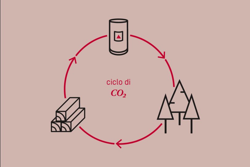 Ciclo ecologico CO2 neutro Ciclo ecologico CO2 neutro