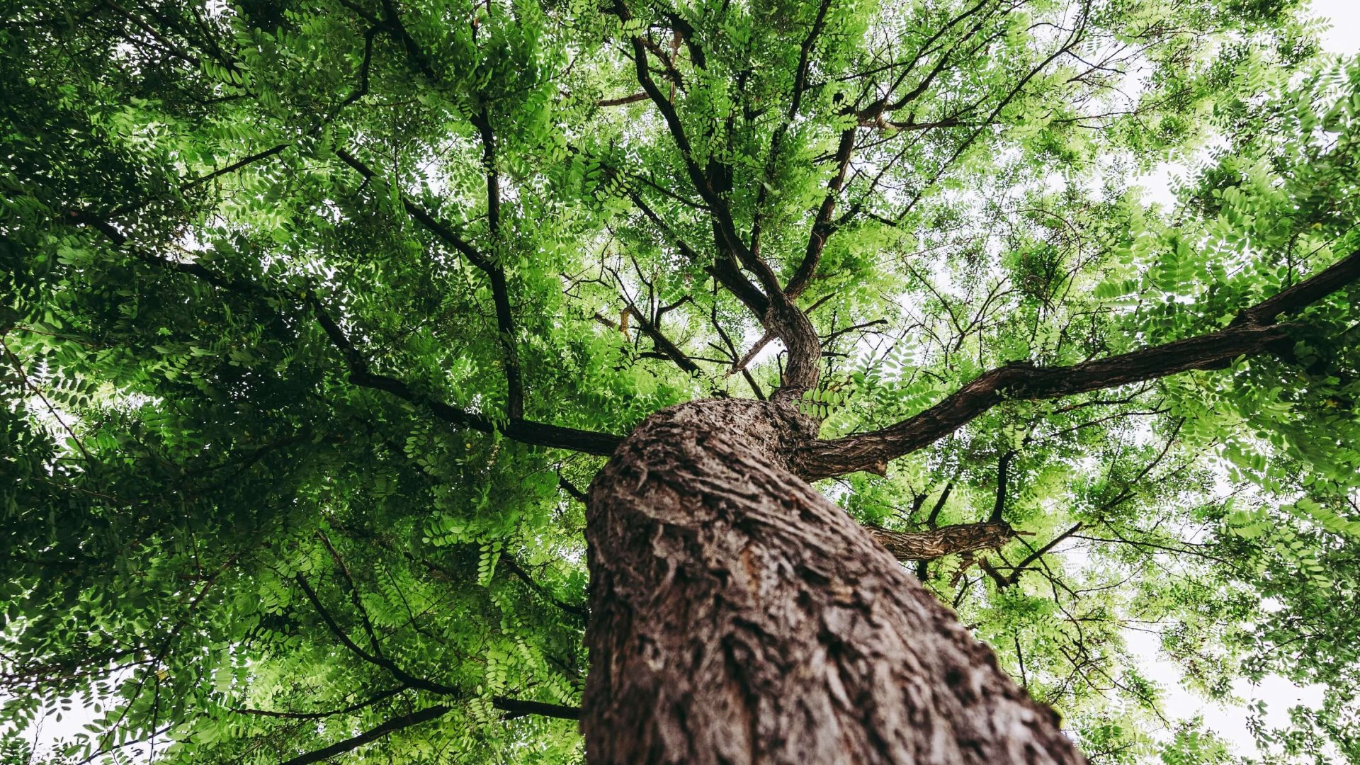 Nachhaltigkeit Emissionsminimierung